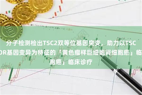 分子检测检出TSC2双等位基因突变，助力以TSC2/MTOR基因变异为特征的「黄色瘤样巨细胞肾细胞癌」临床诊疗