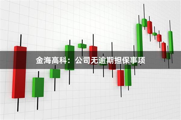 金海高科:公司无逾期担保事项